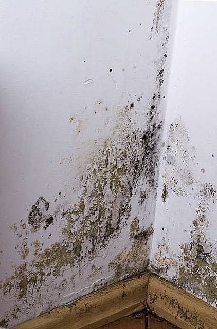 schermafbeelding 2024 02 21 084045